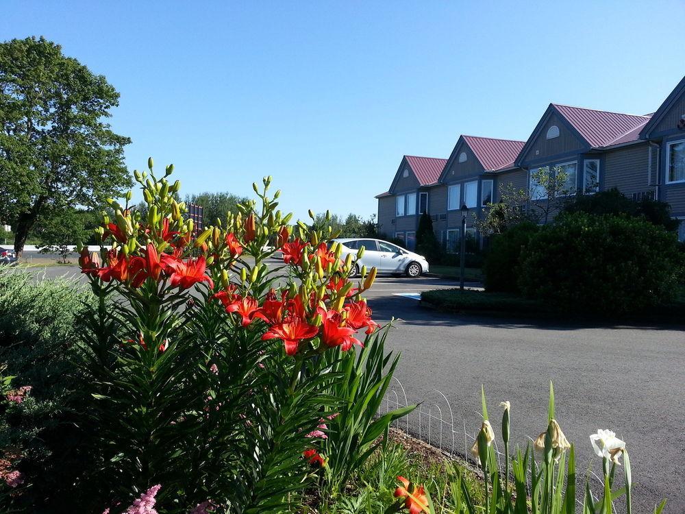 Granite Town Hotel Saint George Bagian luar foto